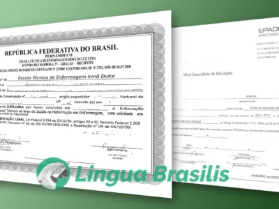 Education system in Brazil and Portugal – a translation seminar report by Fabio Said